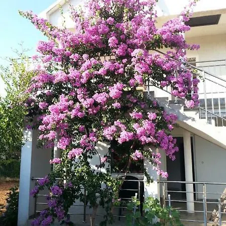 Apartman Apartment *